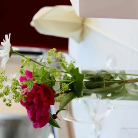 Residenze Mathilda Hotel Silandro